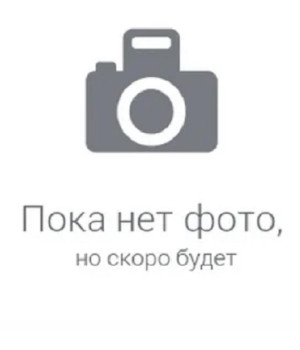 Воронина Татьяна Георгиевна Воронина Татьяна Георгиевна